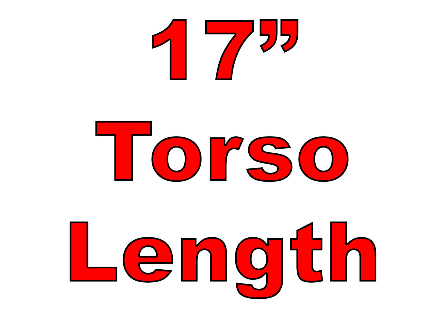 17torso length