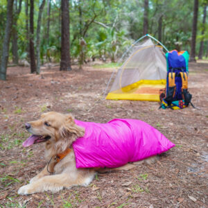 Ultralight Dog Quilt