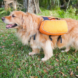 Ultralight Dog Backpack