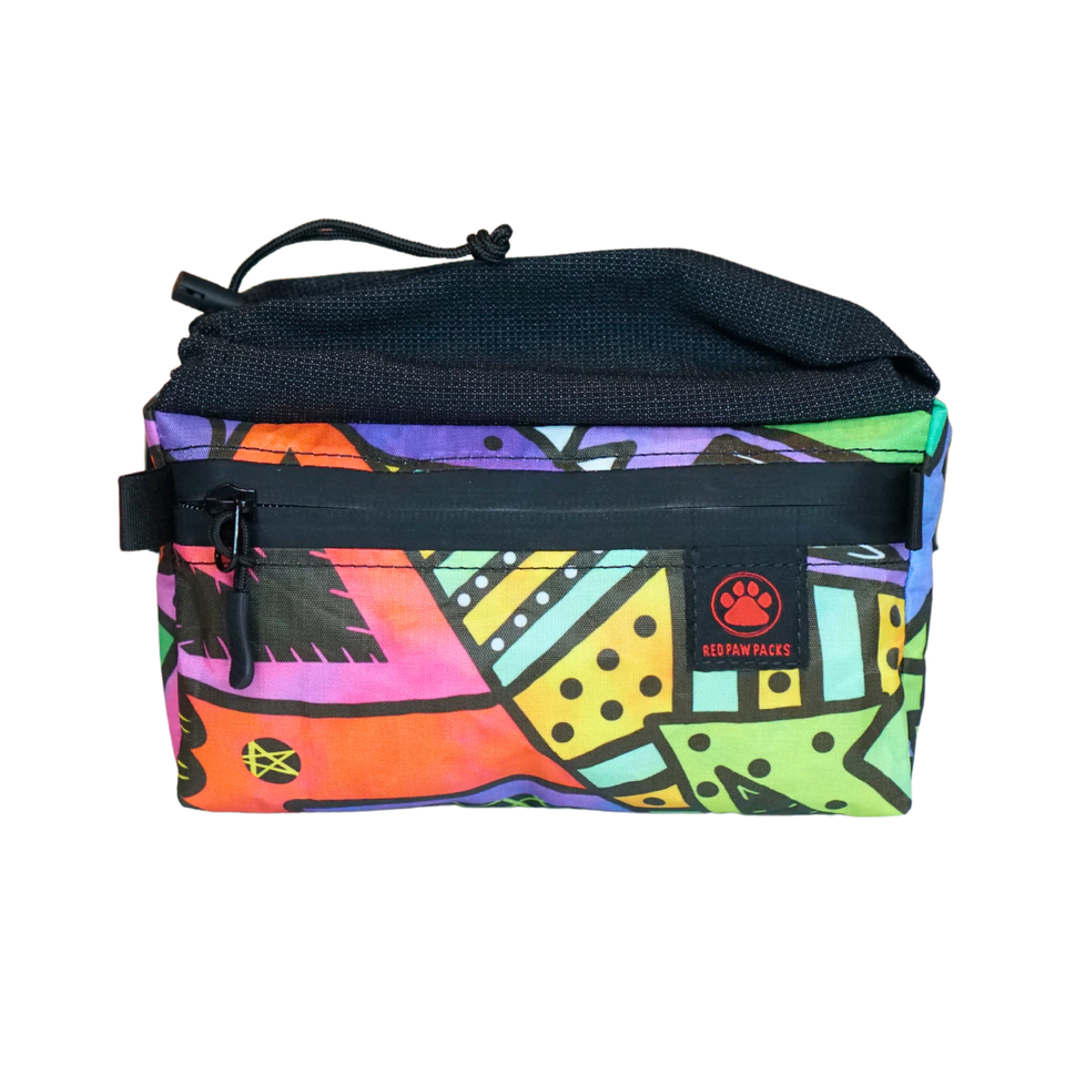 Flex Fanny Pack in a colorful printed DCF fabric